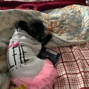 Meet your Posher, Elaine